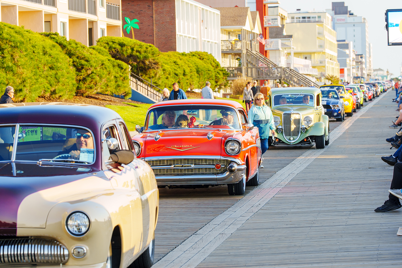 Endless Summer Cruisin